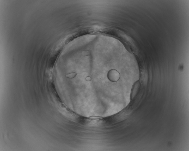 X0000116300621200912211903