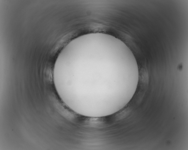 X0000116300622200912211903