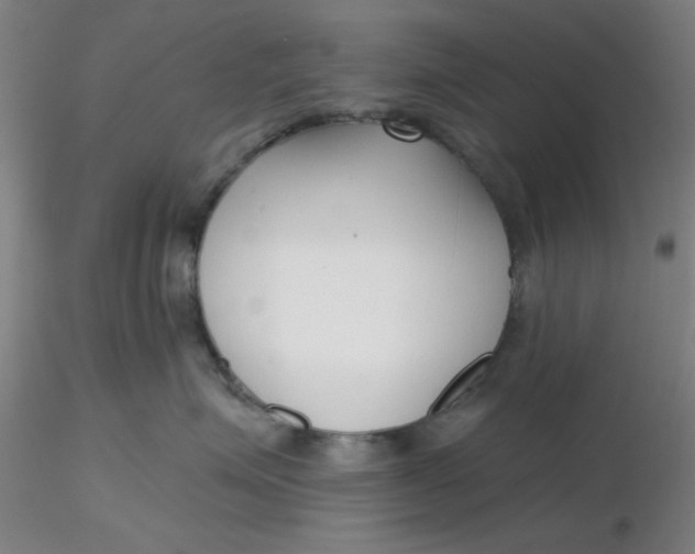 X0000116300623200912211903