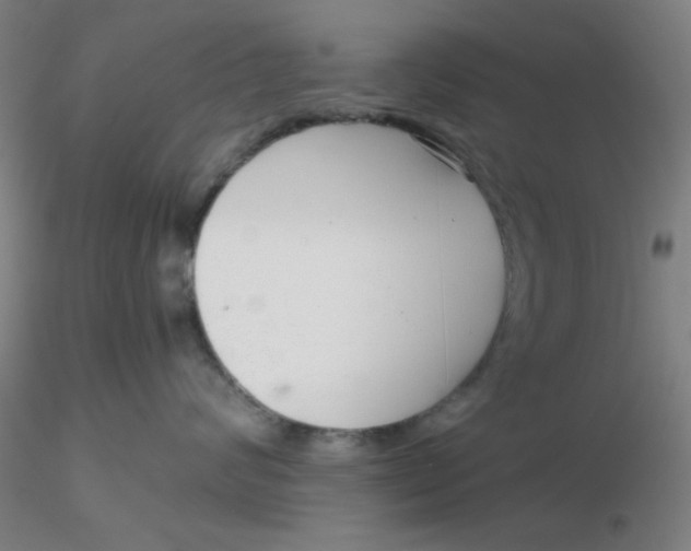 X0000116300624200912211903