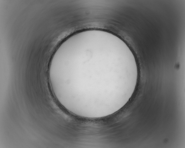 X0000116300625200912211902