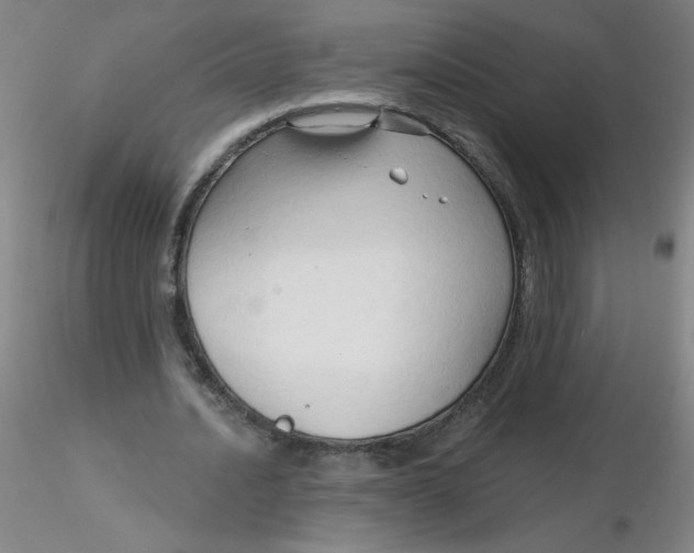 X0000116300628200912211902