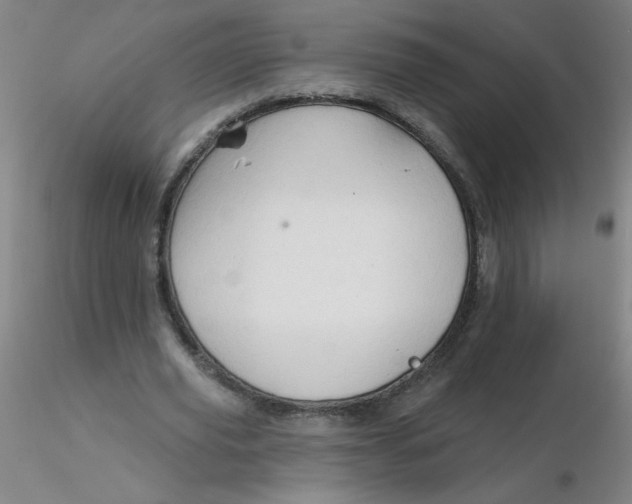 X0000116300629200912211902