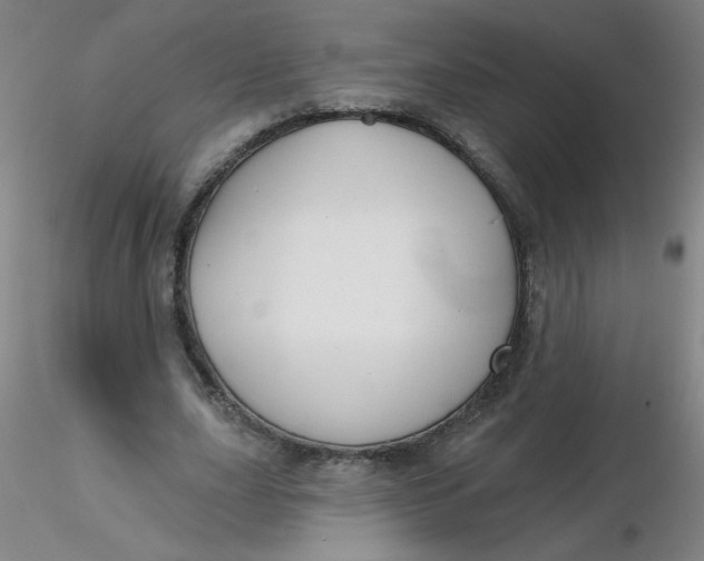 X0000116300631200912211902