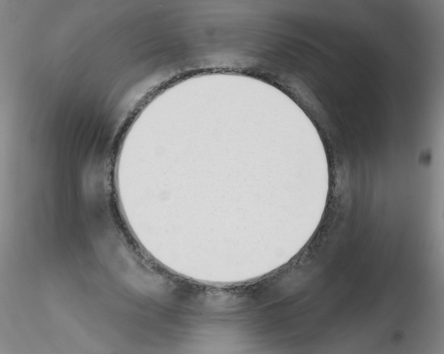 X0000116300632200912211902