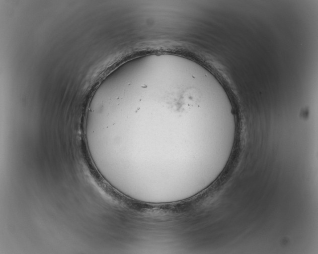 X0000116300633200912211902