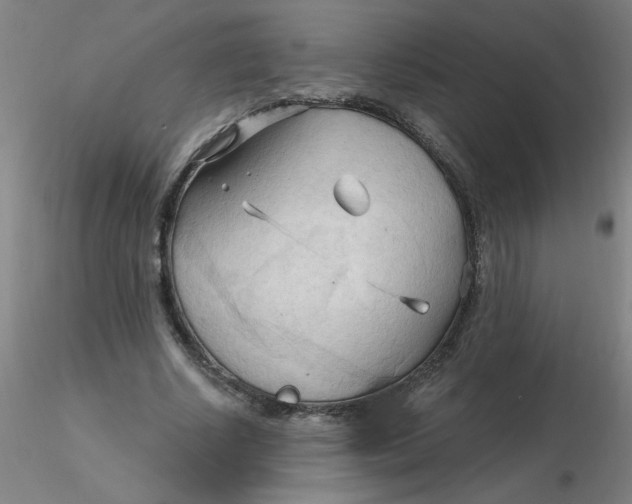 X0000116300634200912211902