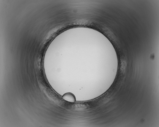 X0000116300636200912211902