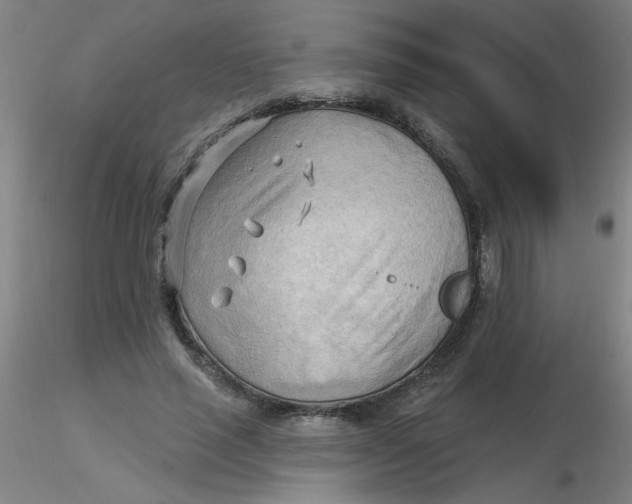 X0000116300637200912211902