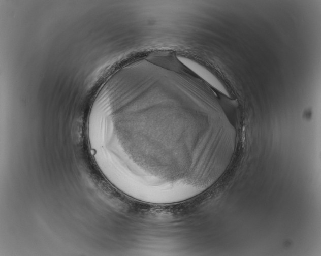 X0000116300640200912211902