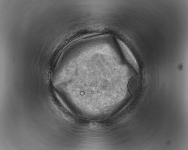 X0000116300641200912211902