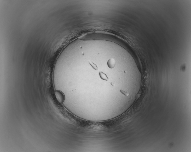 X0000116300642200912211902