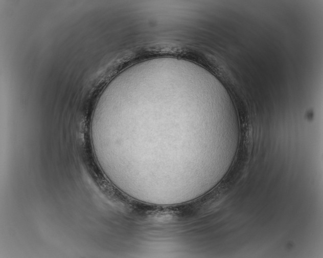 X0000116300643200912211902