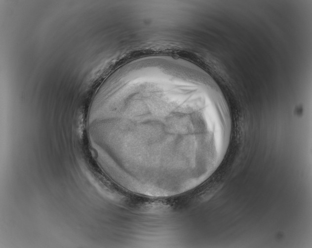 X0000116300644200912211902