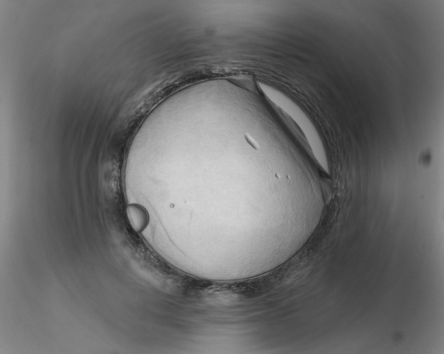 X0000116300648200912211902