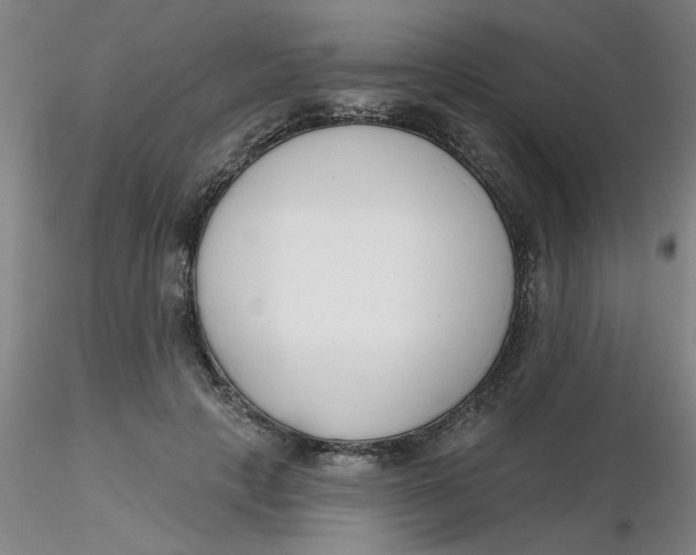 X0000116300649200912211902