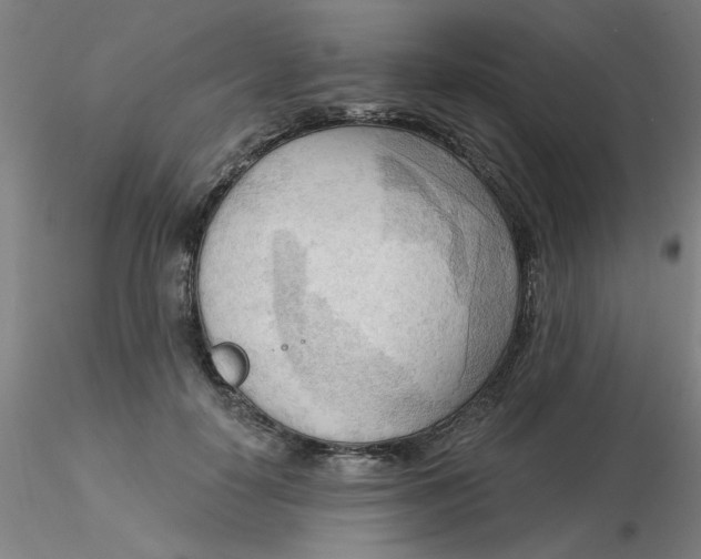 X0000116300650200912211902