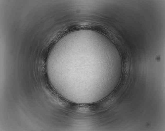 X0000116300653200912211902