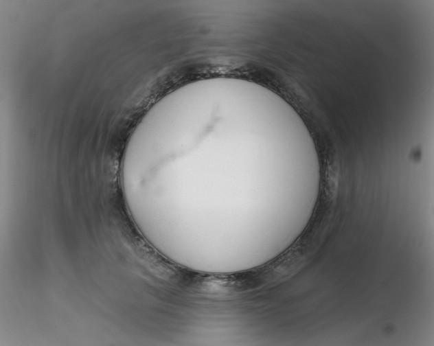 X0000116300657200912211902