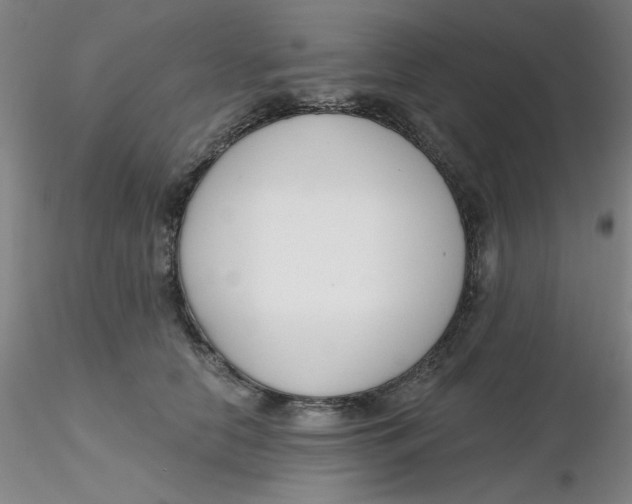 X0000116300658200912211902