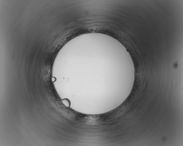 X0000116300660200912211902