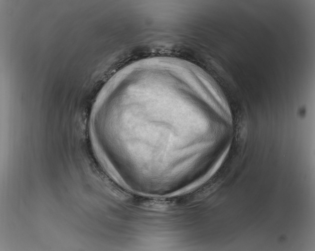 X0000116300661200912211902