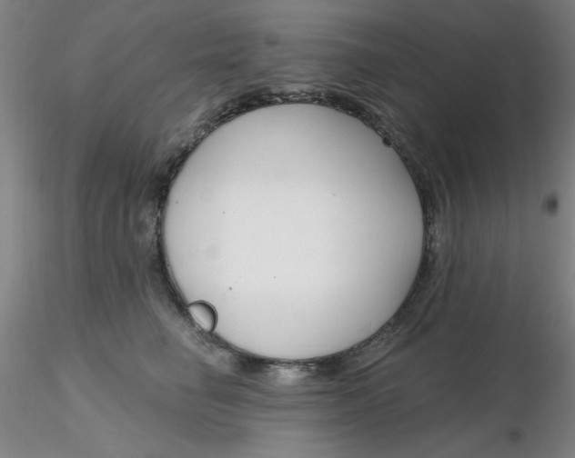 X0000116300662200912211902