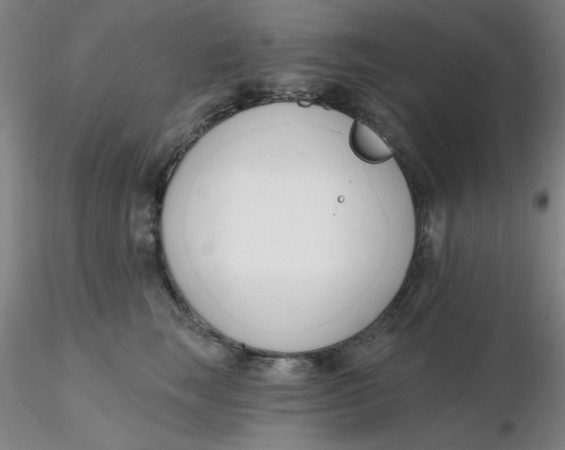 X0000116300663200912211902