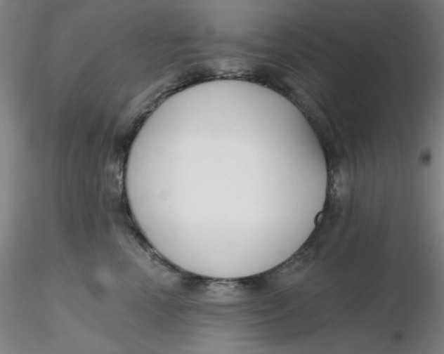 X0000116300666200912211902