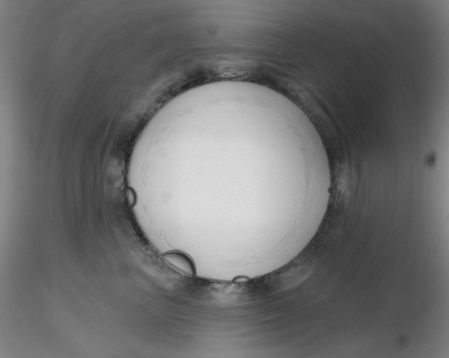 X0000116300667200912211902