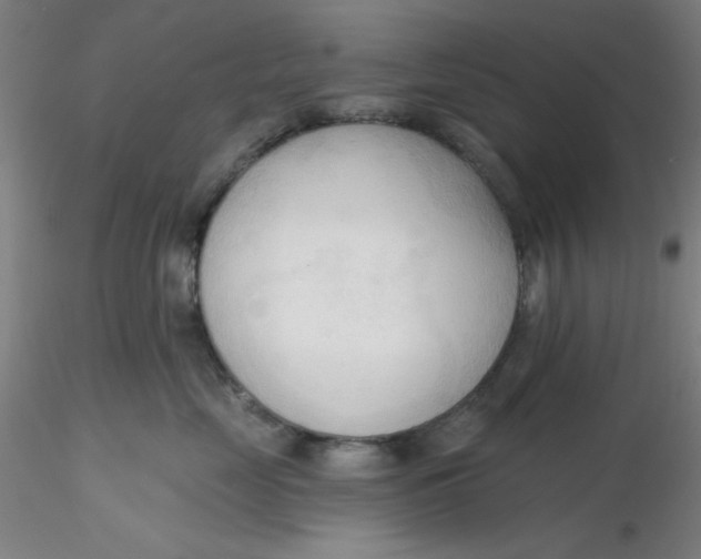 X0000116300669200912211903