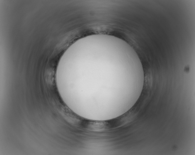 X0000116300671200912211903