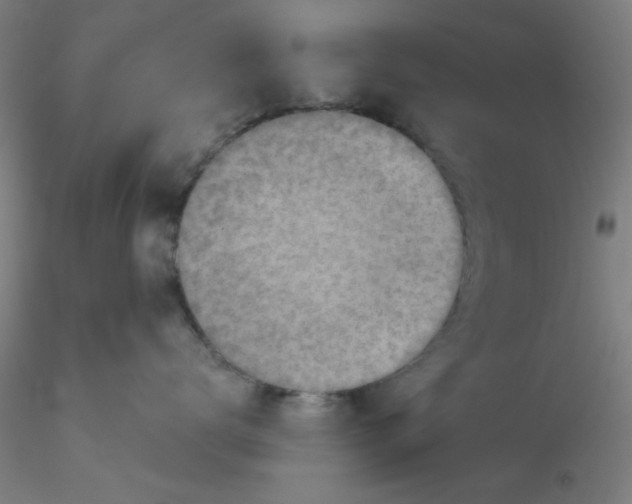 X0000116300672200912211903