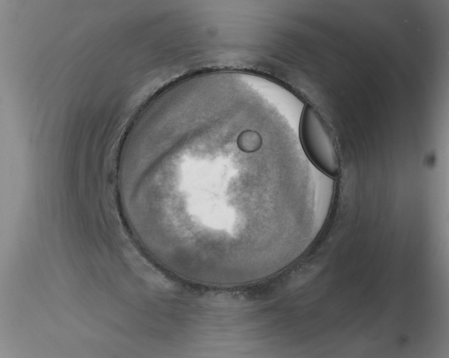 X0000116300673200912211902