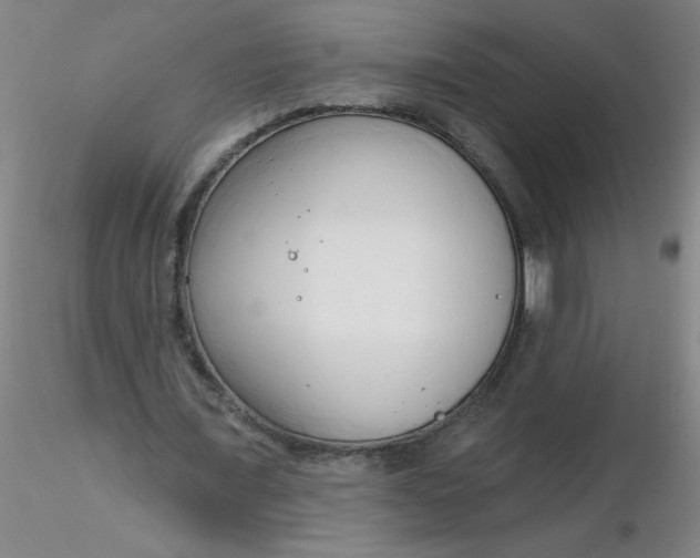 X0000116300675200912211902