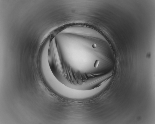 X0000116300676200912211902