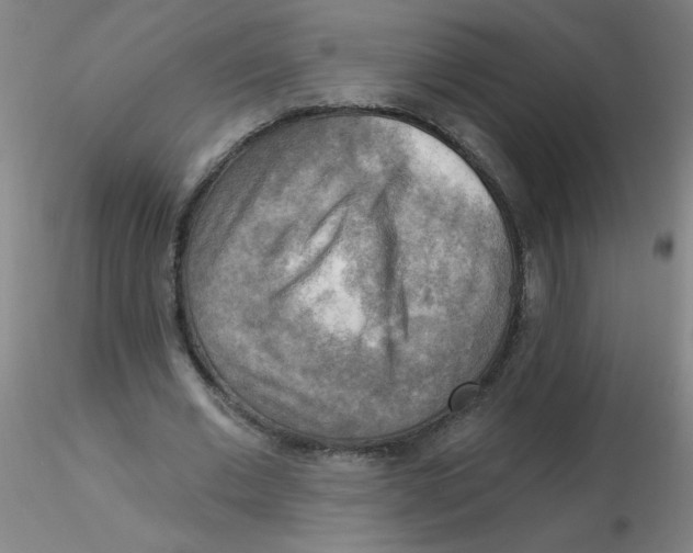 X0000116300677200912211902