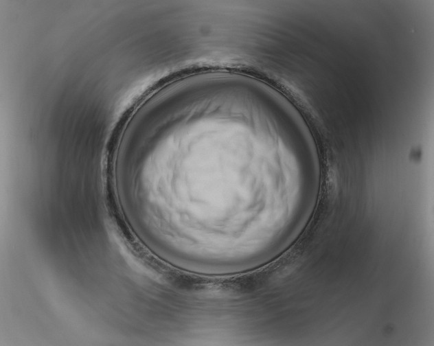 X0000116300678200912211902