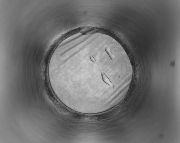 X0000116300680200912211902