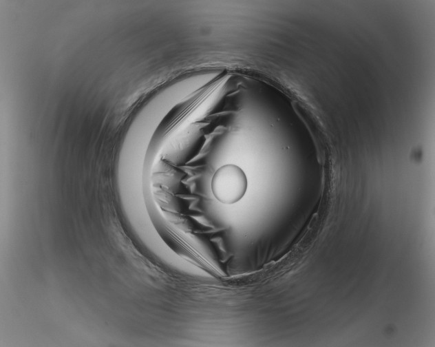 X0000116300681200912211902