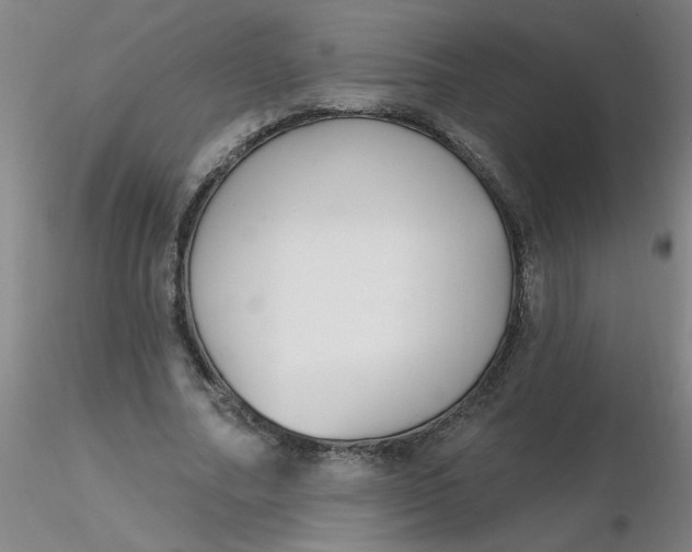 X0000116300682200912211902