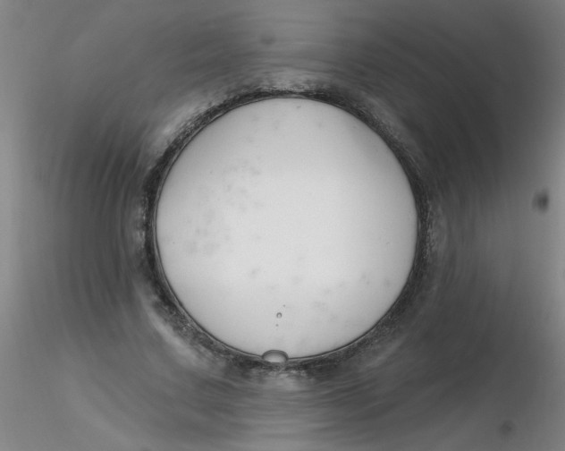 X0000116300683200912211902