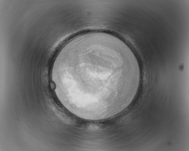 X0000116300684200912211902