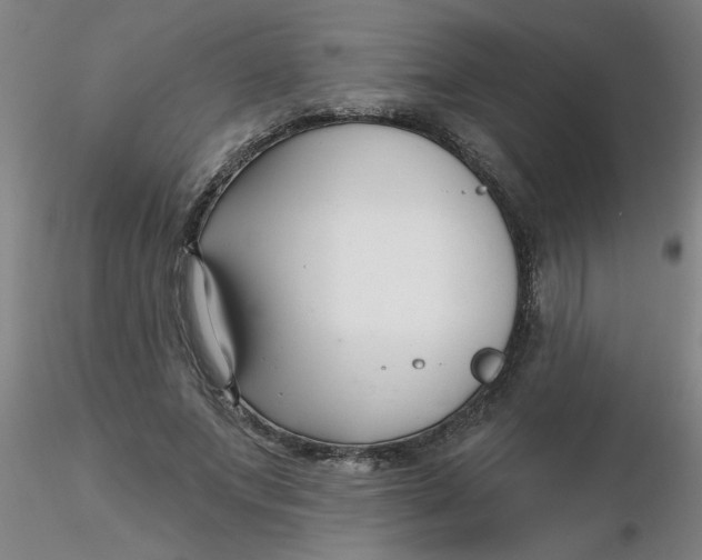 X0000116300687200912211902