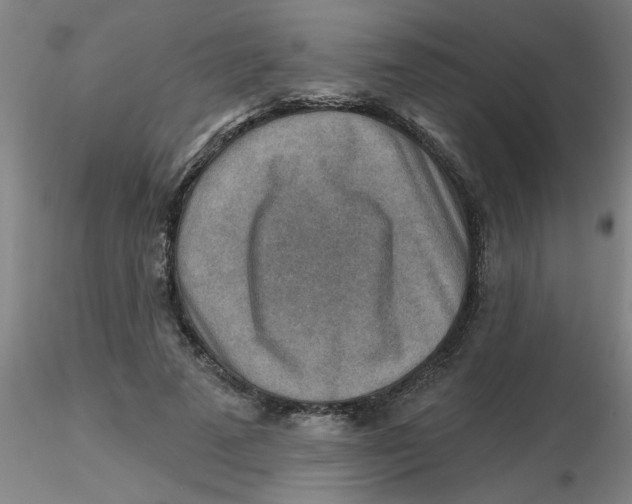 X0000116300689200912211902