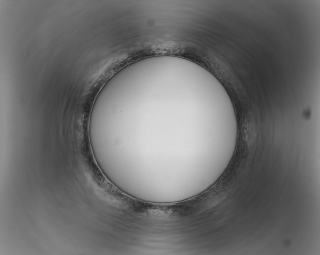 X0000116300690200912211902