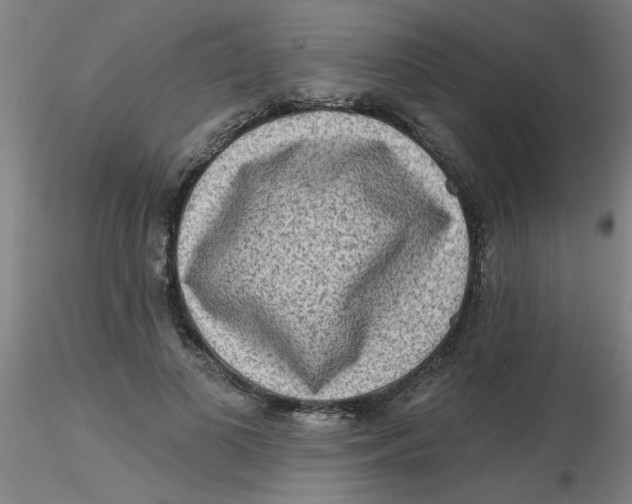 X0000116300693200912211902