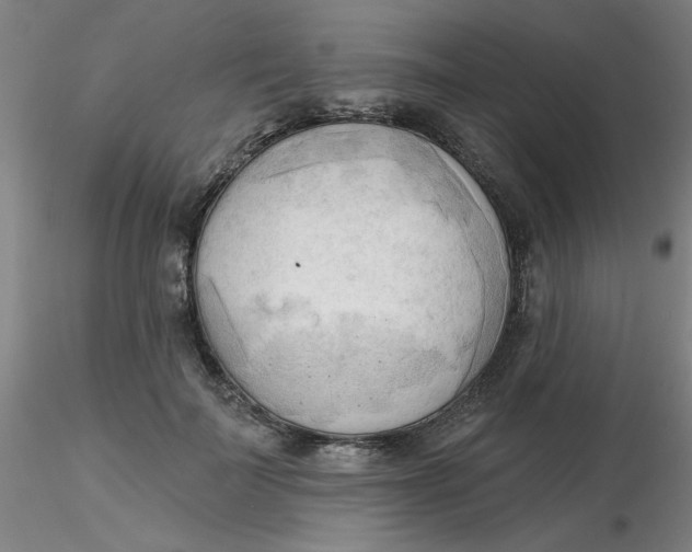 X0000116300699200912211902