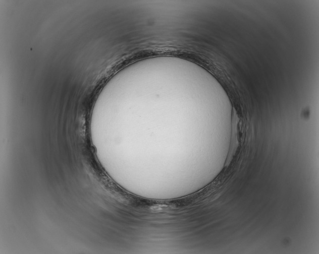 X0000116300700200912211902