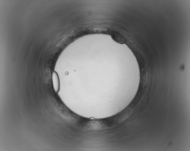 X0000116300704200912211901